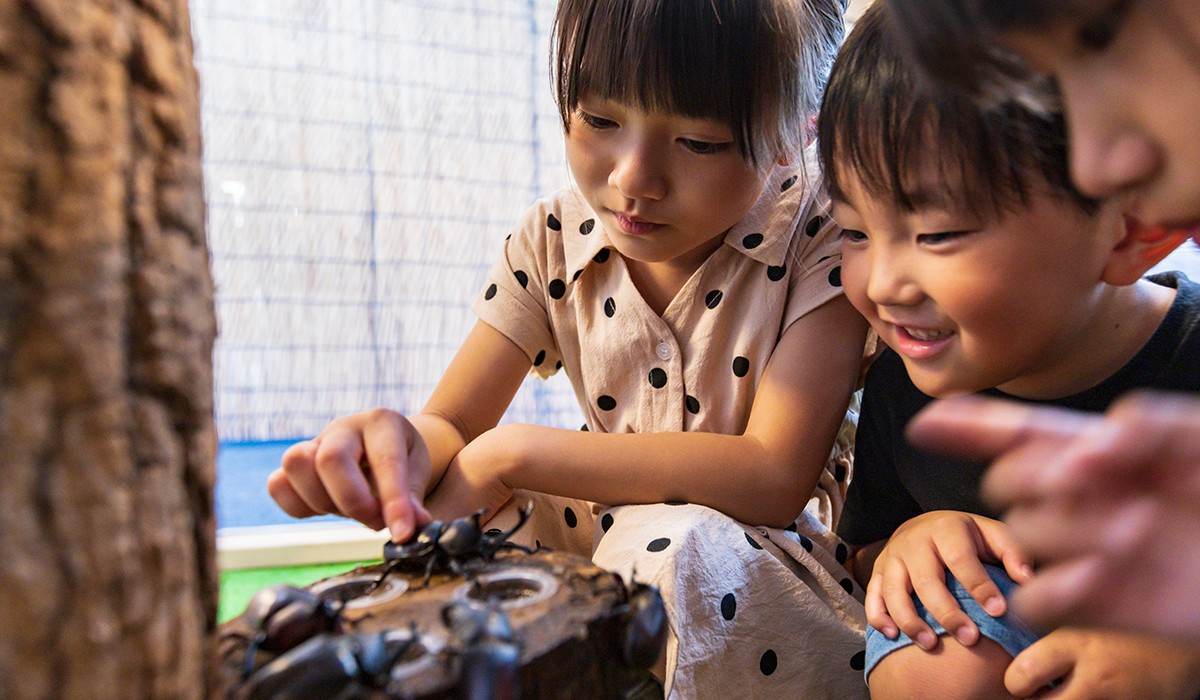 ホテルグリーンプラザ軽井沢様