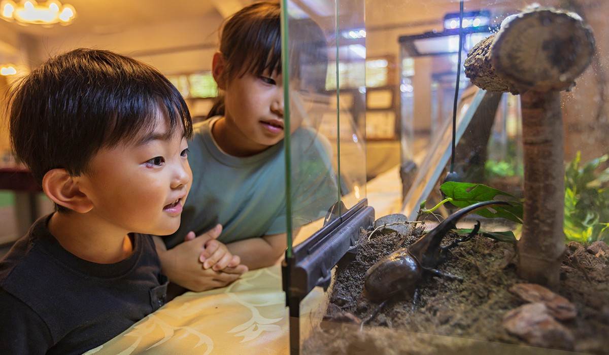 ホテルグリーンプラザ軽井沢様