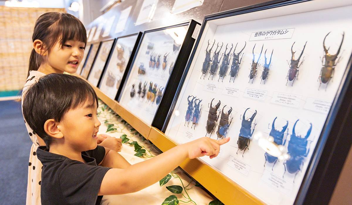 ホテルグリーンプラザ軽井沢様