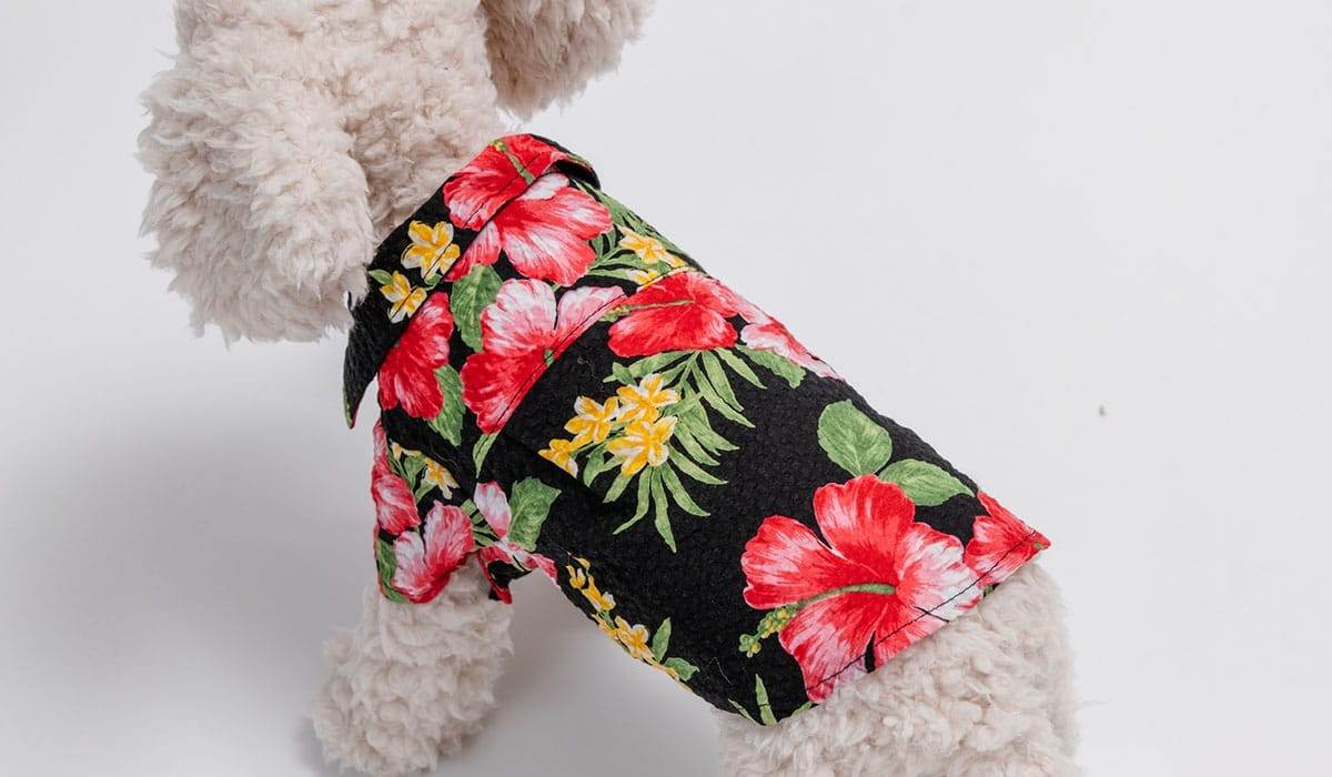 ブックライフ株式会社様