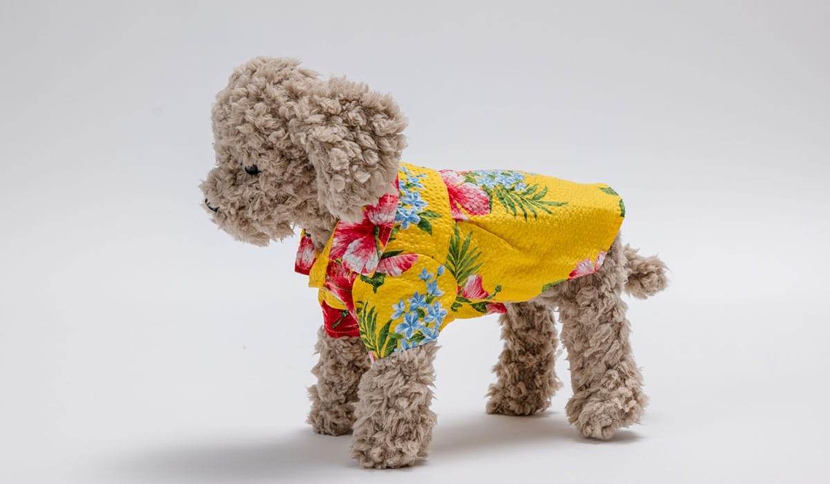 ブックライフ株式会社様