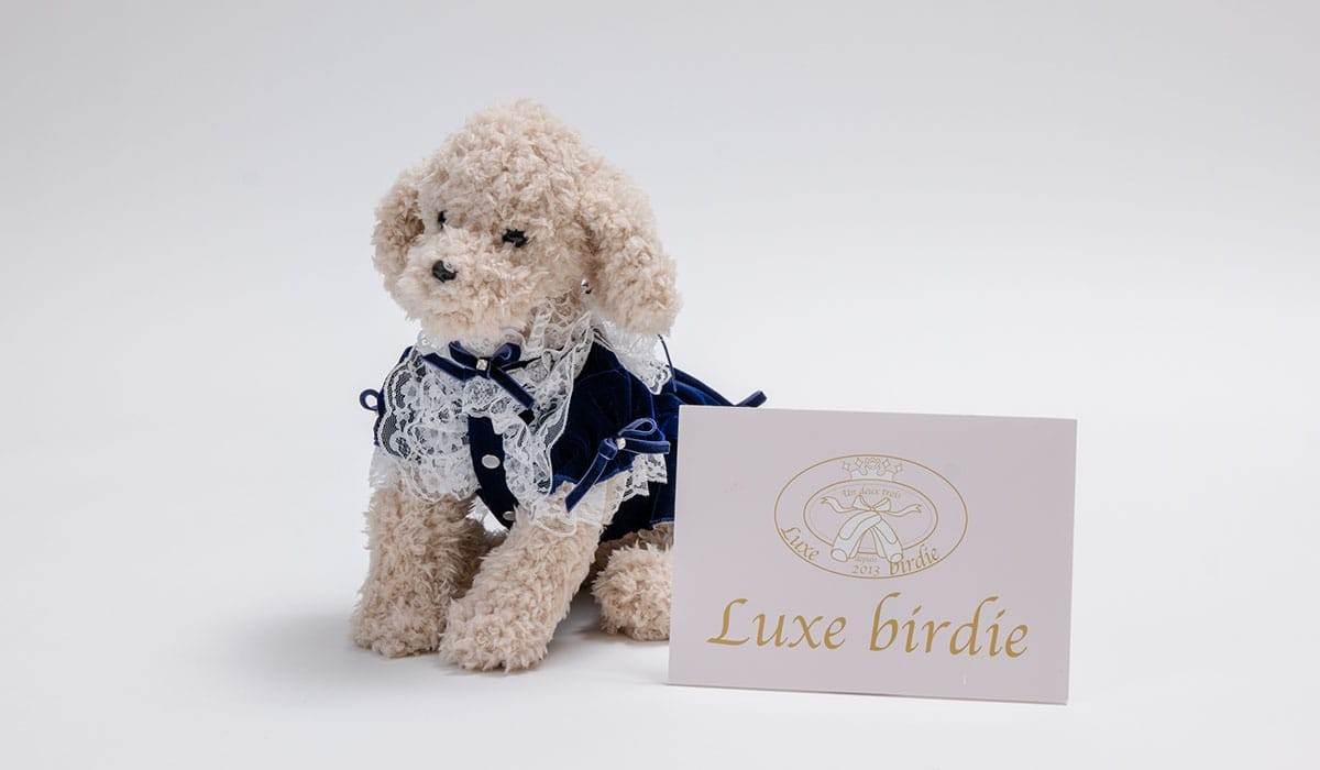 ブックライフ株式会社様