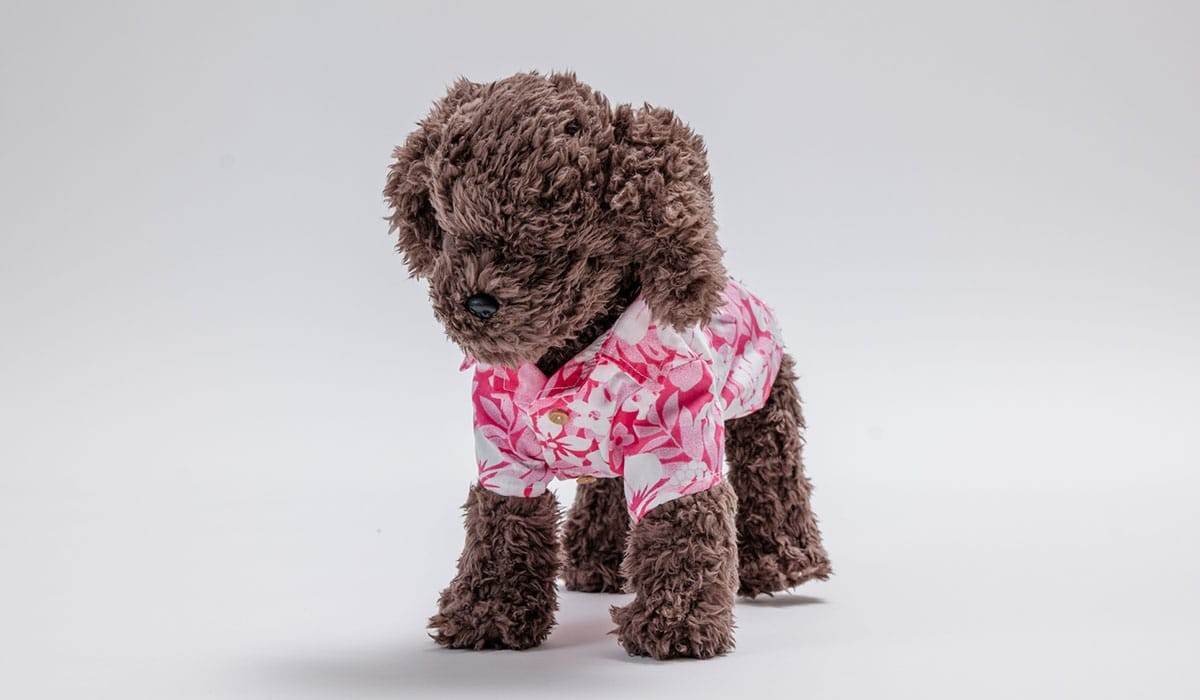 ブックライフ株式会社様