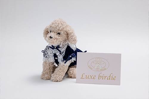 ブックライフ株式会社様