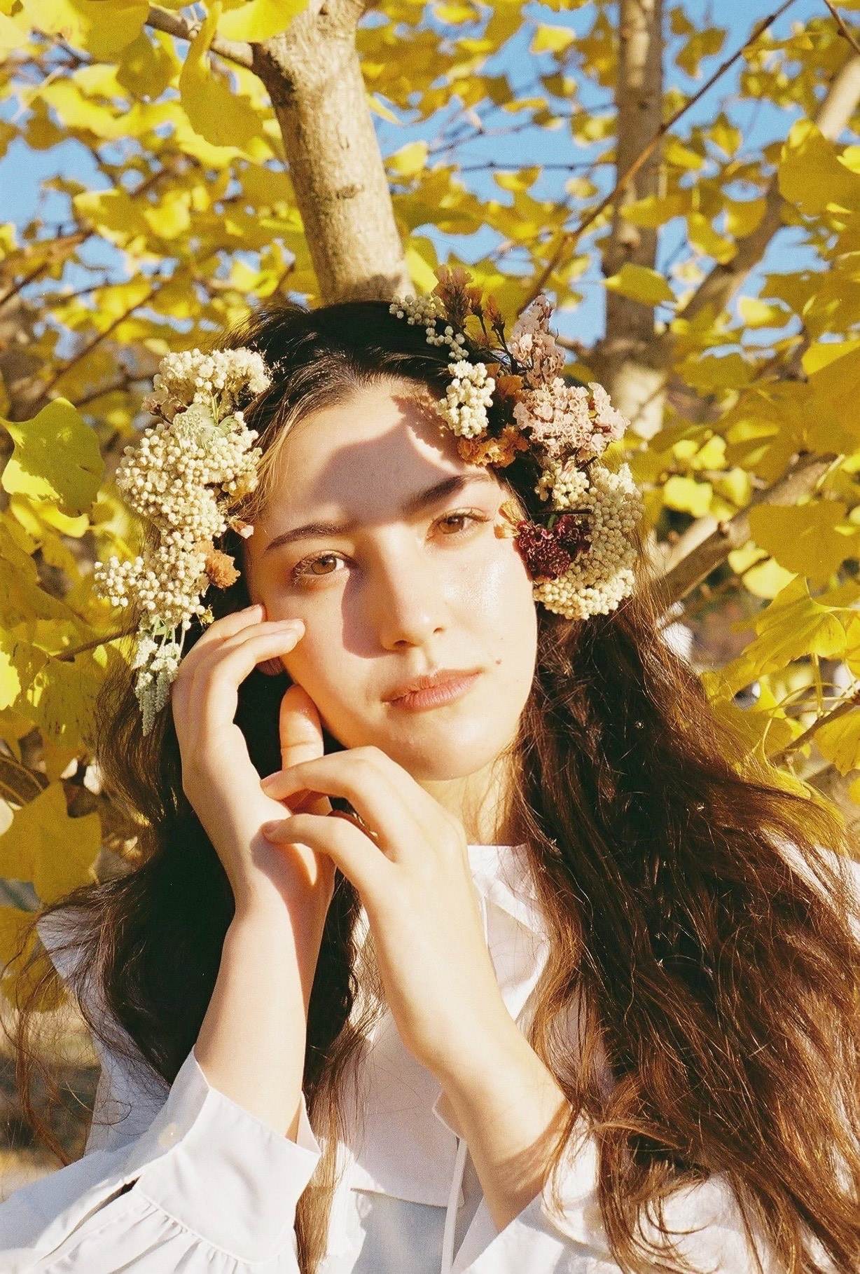 小菊