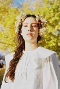 小菊