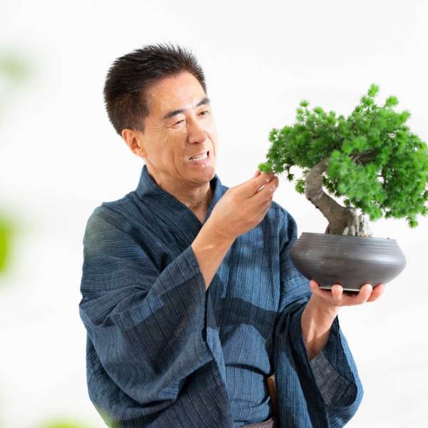 村木晃