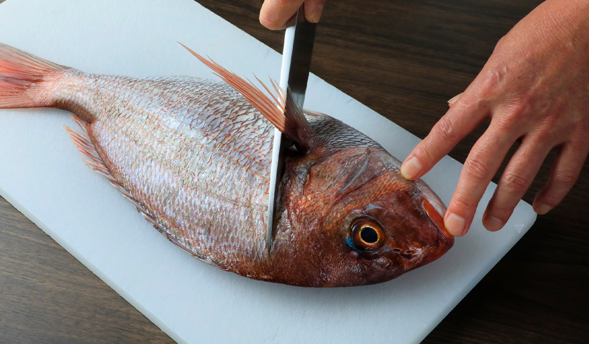 ホテル菊乃家 様