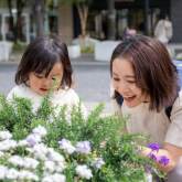高槻　怜