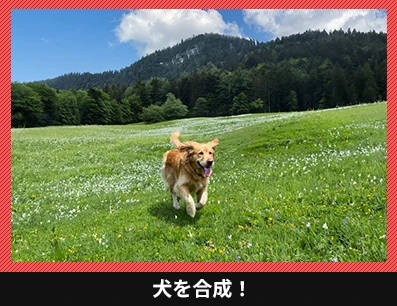 犬を合成！