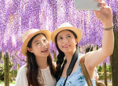 日本を訪れる台湾人旅行者