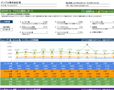 アクセス解析レポート イメージ